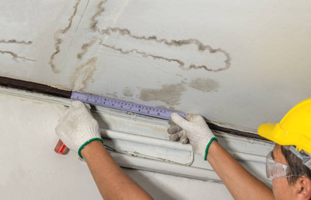 Reliable Burst Pipe Cleanup contractor in Colome, SD by Water Damage Irwin
